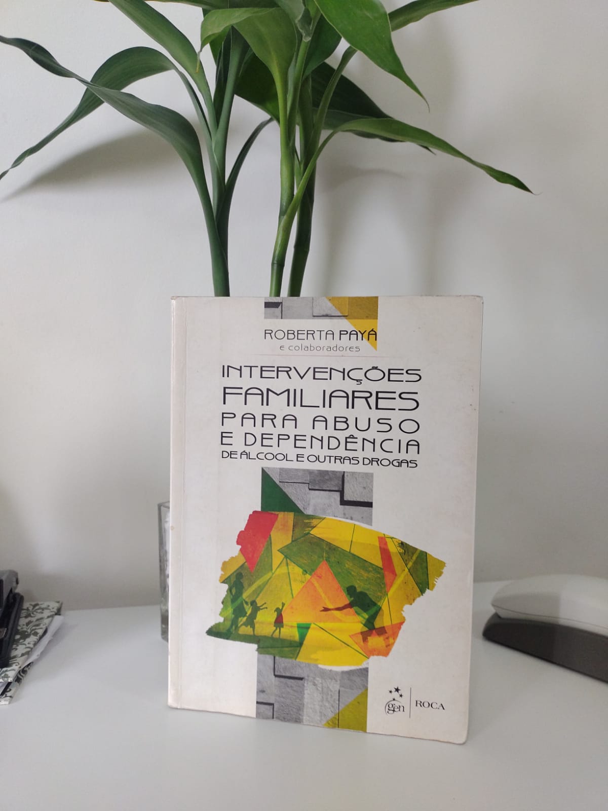 Intervenções Familiares