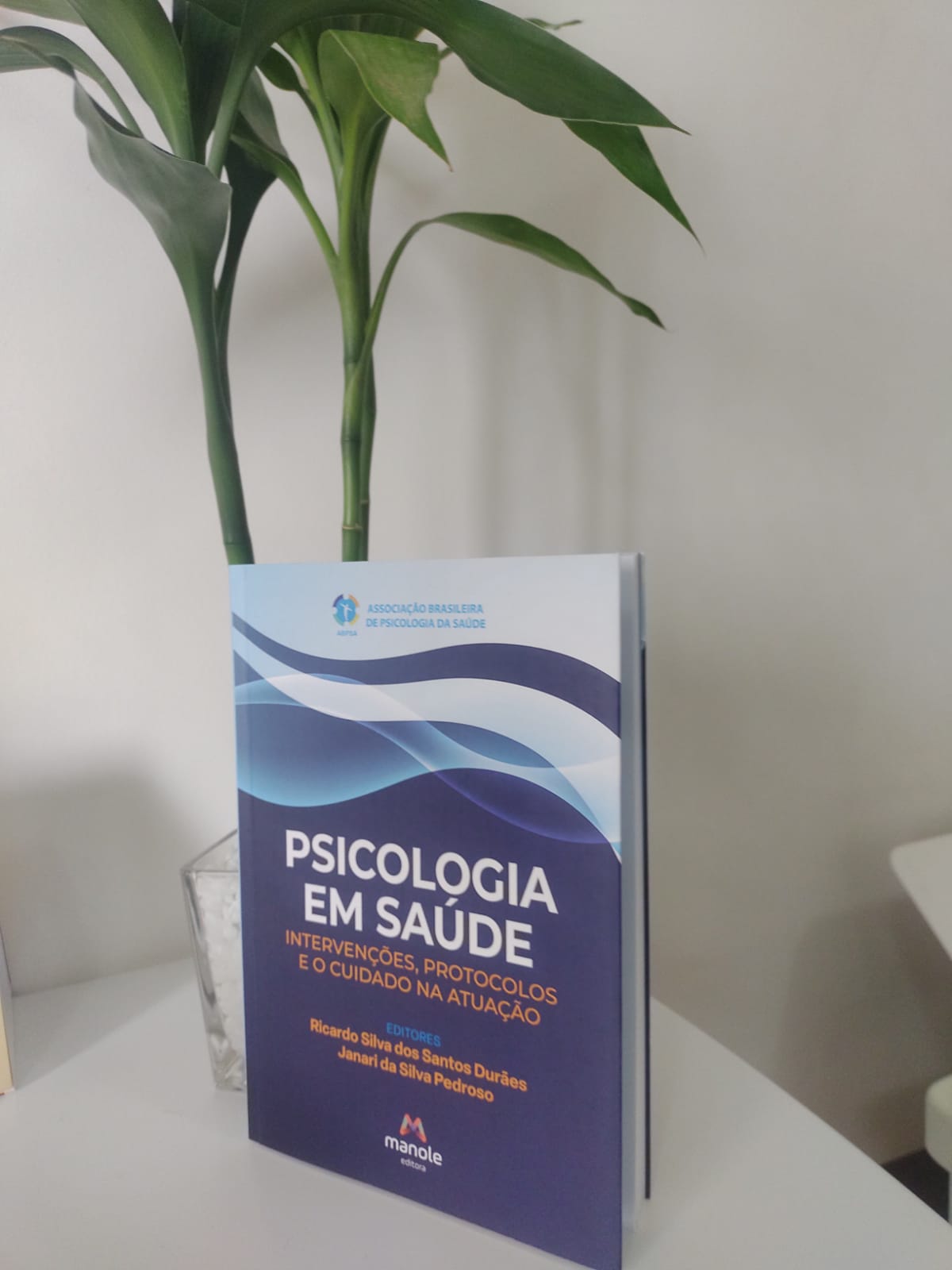 Psicologia em Saúde